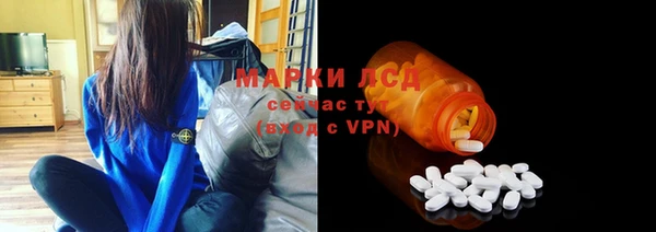 сатива Баксан