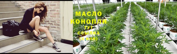 сатива Баксан
