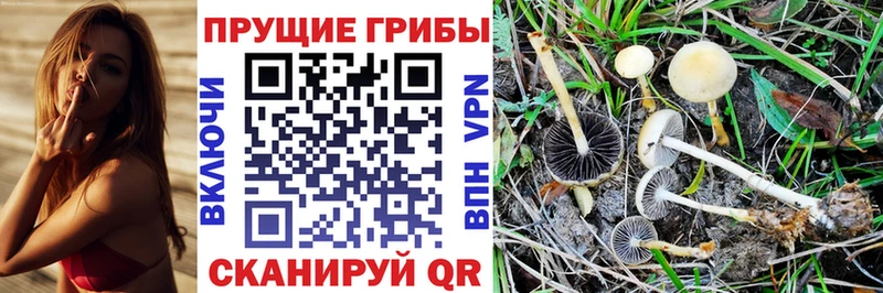 Галлюциногенные грибы MAGIC MUSHROOMS  Змеиногорск 